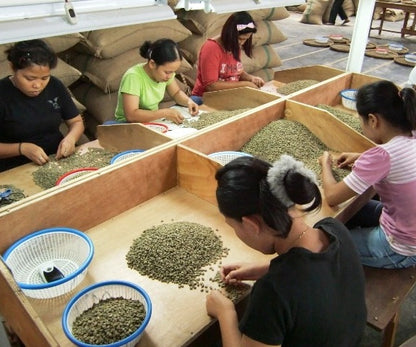 インドネシア　マンデリン (100g)