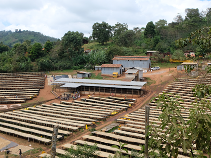 ETHIOPIA Shakiso　DeCaf